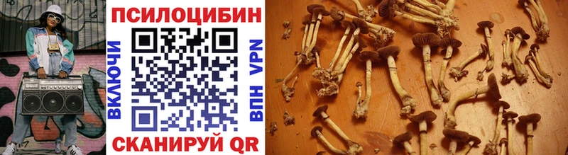 Галлюциногенные грибы Magic Shrooms Оханск